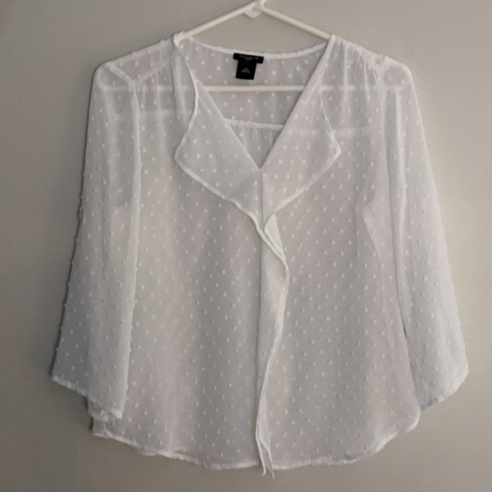 Ann Taylor petite swiss dot sheer blouse 3/4 sleeve X-Small